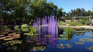 Denver Botanic Gardens - Photo
